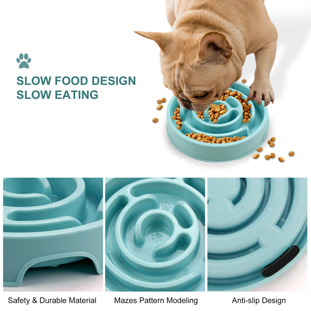 Gamelle Anti-Glouton Chien & Chat – Repas Plus Lent