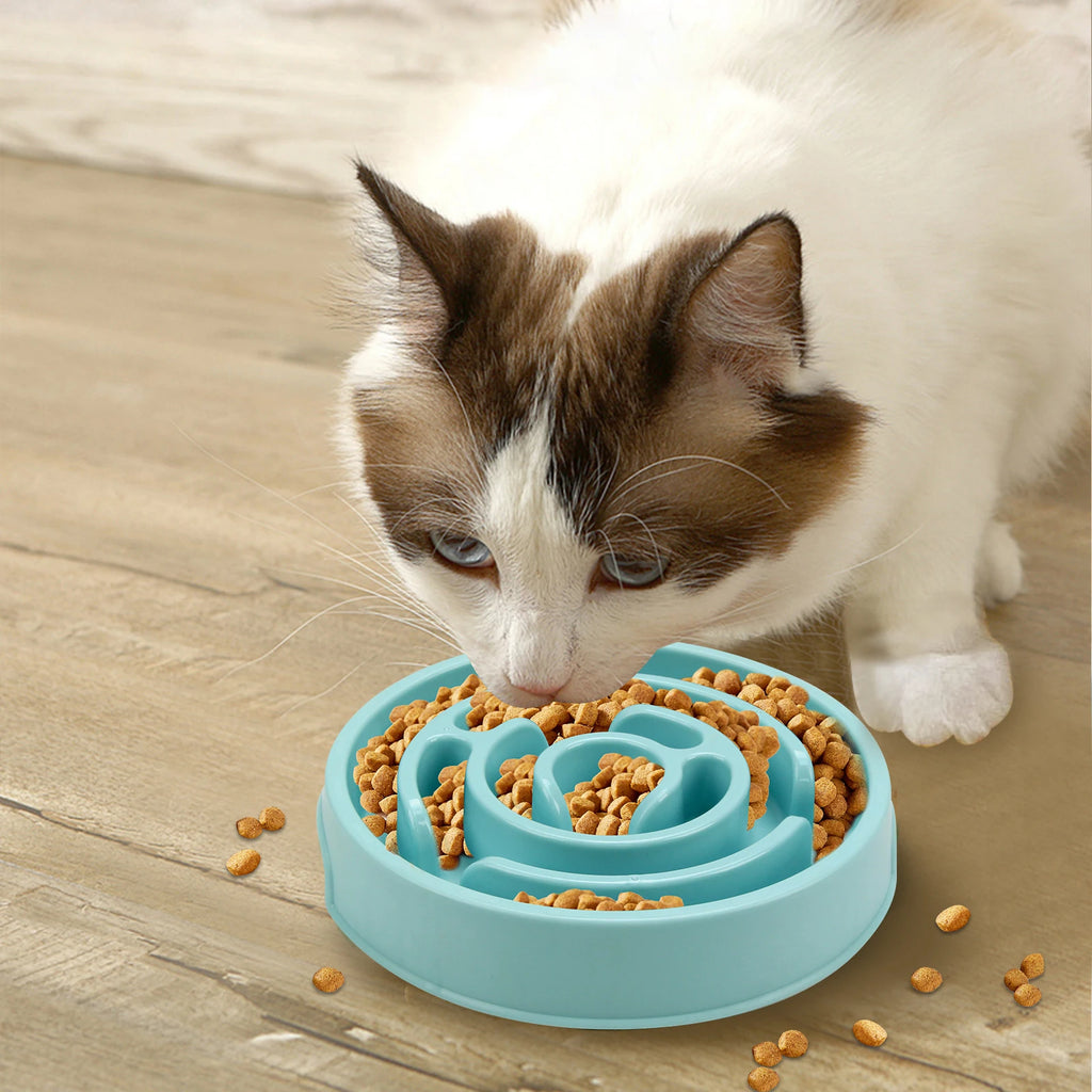 Gamelle Anti-Glouton Chien & Chat – Repas Plus Lent