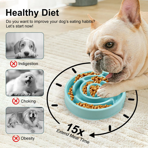 Gamelle Anti-Glouton Chien & Chat – Repas Plus Lent